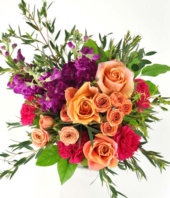 TBC03-1-2_A2.jpg Be Bold on Your Birthday - Image 3