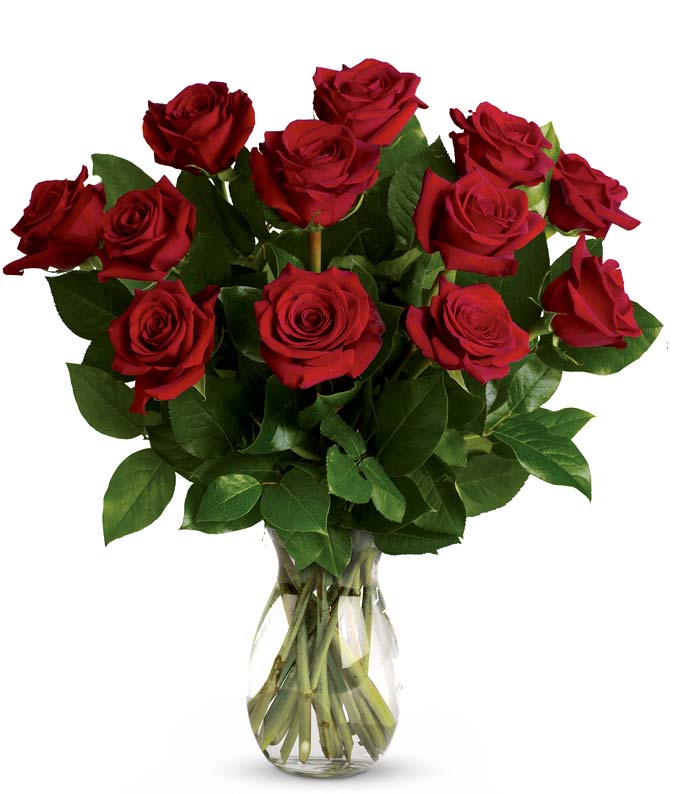 TEV31-2-12-1.jpg Classic Romance Red Roses - One Dozen