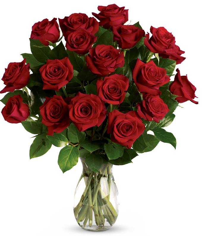 TEV31-2-18-1.jpg Classic Romance Red Roses - 18 Roses