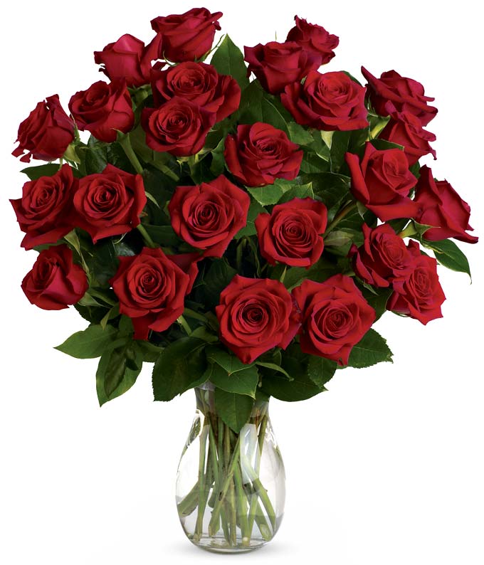 TEV31-2-24-1.jpg Classic Romance Red Roses - Two Dozen