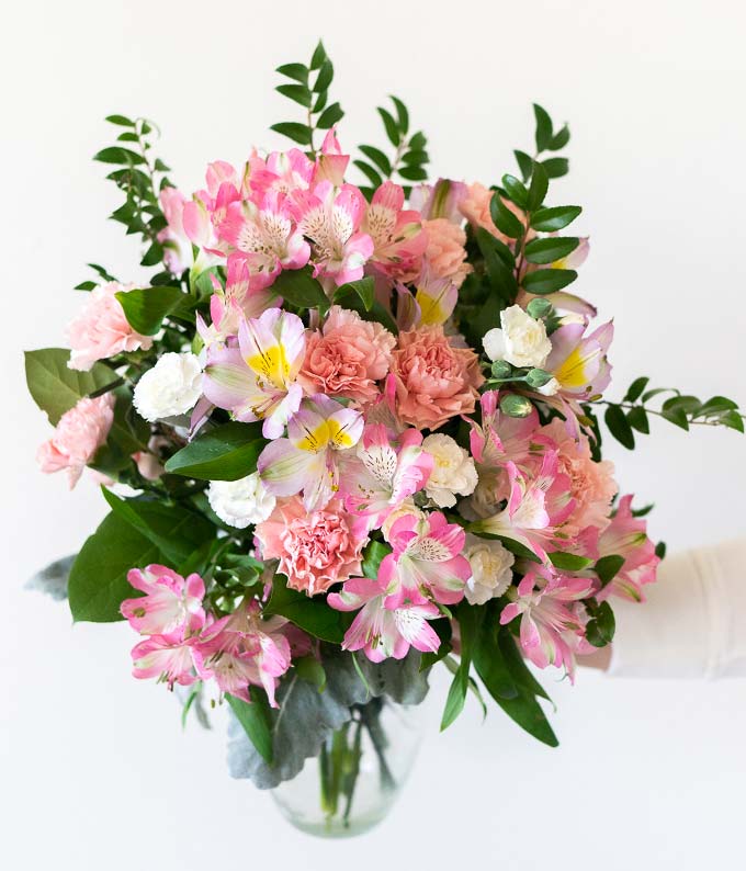 TEV55-3_A2.jpg Light Pink Beauty - Image 3