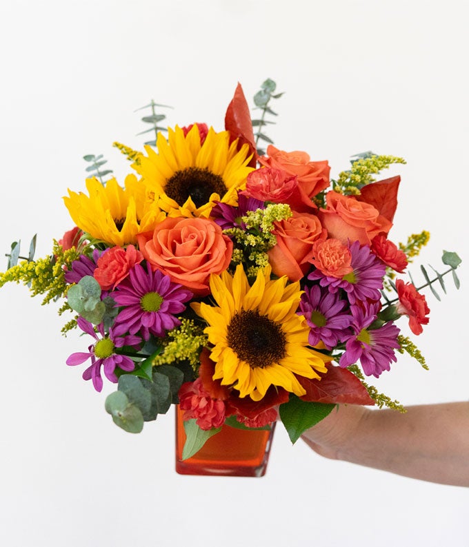 TEV74-5_A1.jpg Sunflower Harvest - Image 2