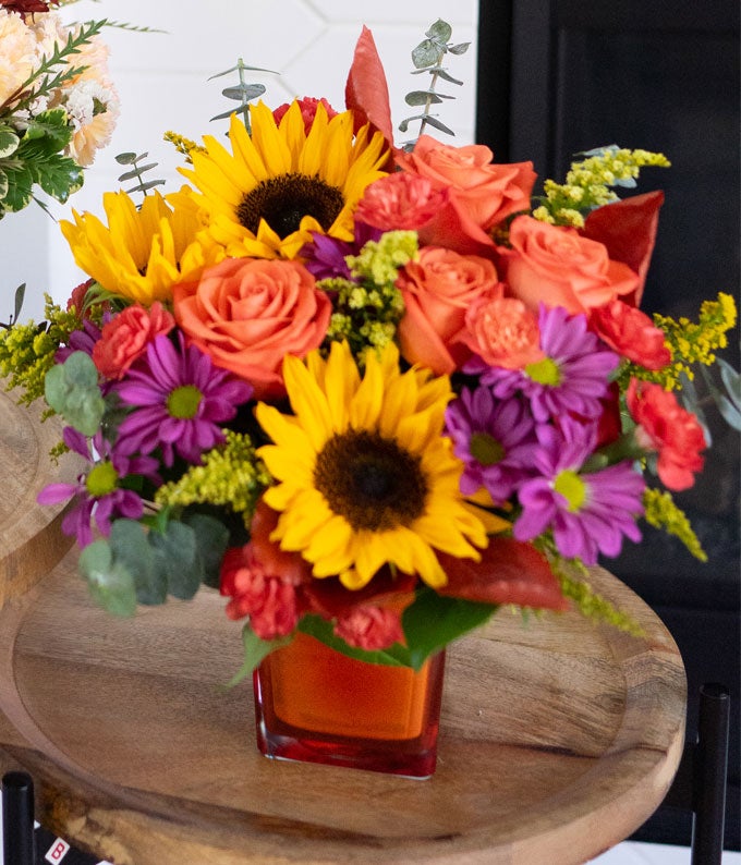 TEV74-5_A2.jpg Sunflower Harvest - Image 3