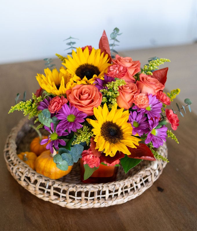 TEV74-5_A3.jpg Sunflower Harvest - Image 4