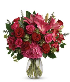 Pink Splendor