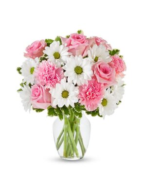 Pastel Daisy & Rose Delight