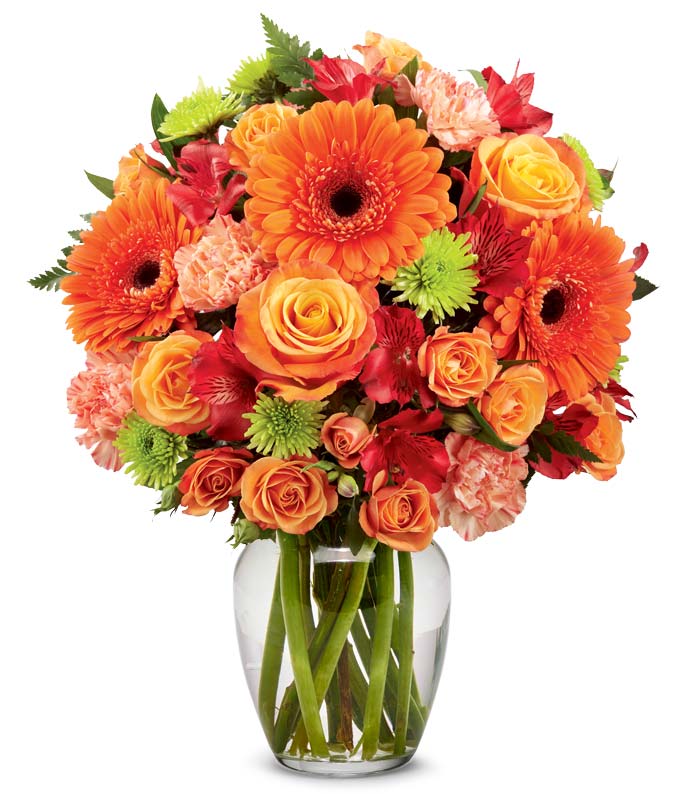 V7030.jpg Vibrant and Bright