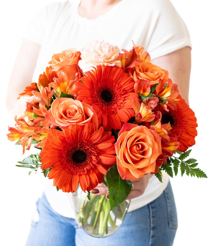 V7030_A2.jpg Vibrant and Bright - Image 3