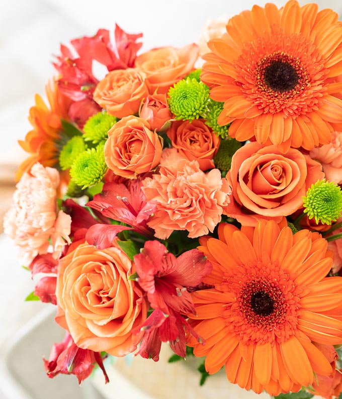V7030_A3.jpg Vibrant and Bright - Image 4
