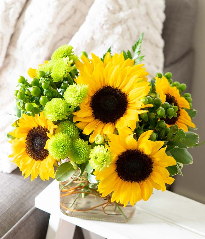 V7032_A1.jpg Sunflower Hills - Image 2