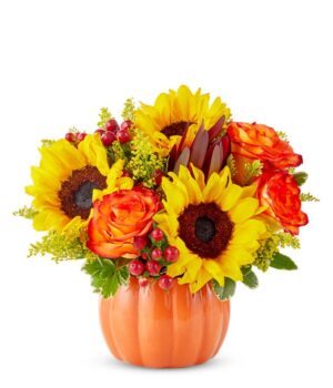 Sunny Fall Pumpkin