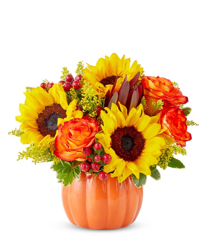 V7110.jpg Sunny Fall Pumpkin