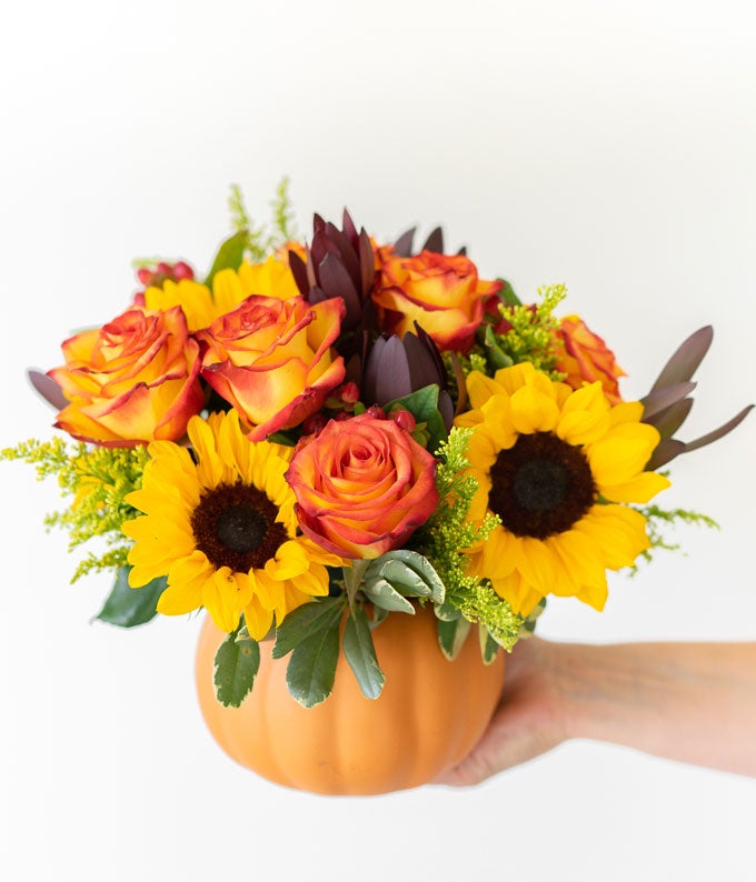 V7110_A1.jpg Sunny Fall Pumpkin - Image 2