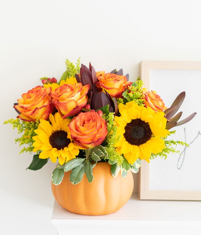 V7110_A2.jpg Sunny Fall Pumpkin - Image 3