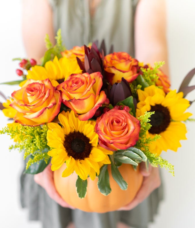 V7110_A3.jpg Sunny Fall Pumpkin - Image 4